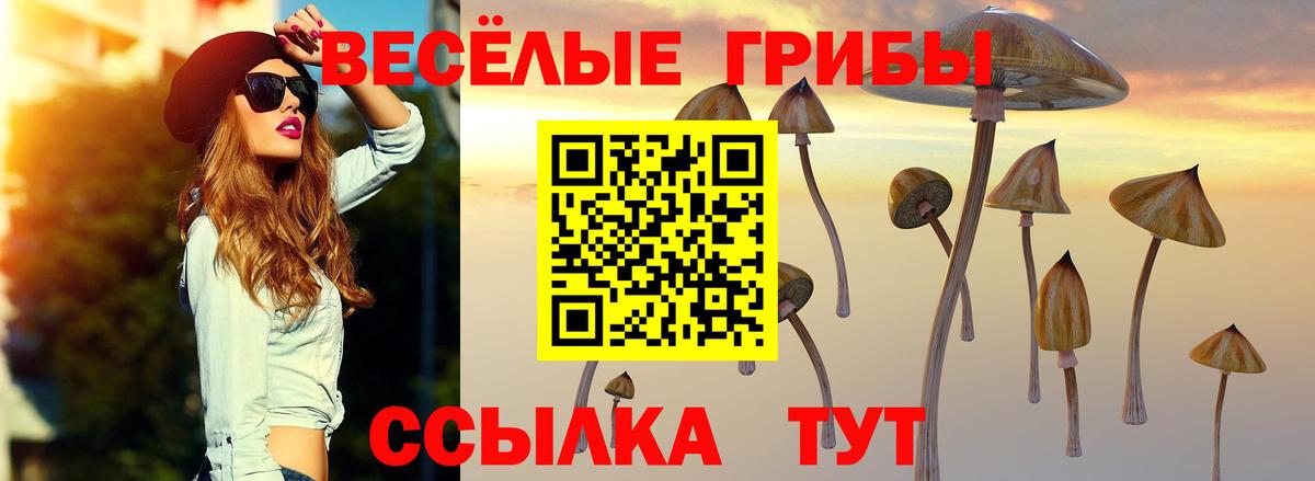 Галлюциногенные грибы Cubensis Ейск